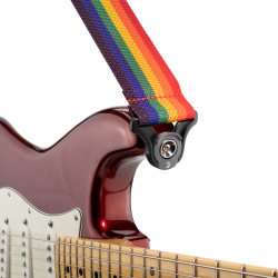 D'Addario Accessories PWSAL411 Polypro 50mm Guitarrem m/Auto Lock (Rainbow)