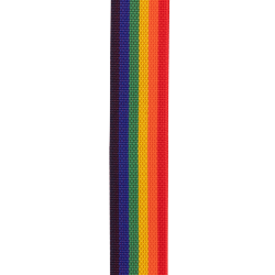 D'Addario Accessories PWSAL411 Polypro 50mm Guitarrem m/Auto Lock (Rainbow)