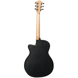 L�G T70ACE-B&B Western Guitar Med Pickup