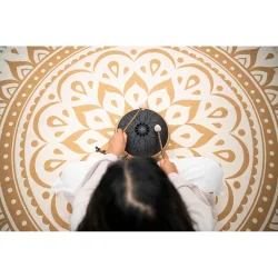 Meinl Sonic Energy MOSTD1BK Medium Octave Steel Tongue Drum, B Minor, 8 Toner, 432 Hz