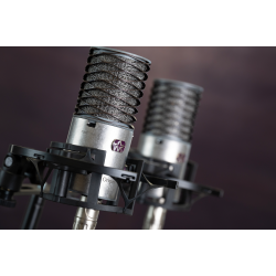 Aston Microphones Origin Stereo Kondensator Mikrofon Par (2 stk)