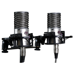 Aston Microphones Origin Stereo Kondensator Mikrofon Par (2 stk)