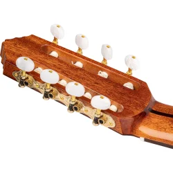 Ortega RCE159RW-8 Performer Series 8-strenget Cutaway Klassisk Guitar m/mikrofon inkl. taske 