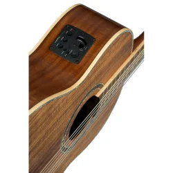 Ortega RE30TH-ACA Nylonstrenget Guitar m/mikrofon 30th Anniversary inkl. taske