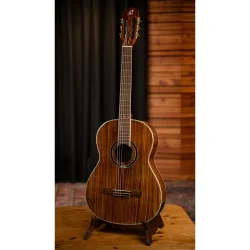 Ortega RE30TH-ACA Nylonstrenget Guitar m/mikrofon 30th Anniversary inkl. taske