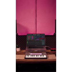 Novation FLkey Mini 25-mini-key MIDI keyboard