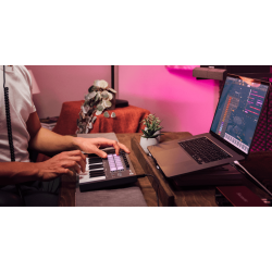 Novation FLkey Mini 25-mini-key MIDI keyboard