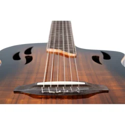 Ortega RTPDLX-ACA TourPlayer Series Slim Neck Thin body Klassisk Guitar m/mikrofon inkl. taske