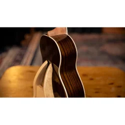 Ortega RUGH-PLT Ghost Serien Platinum Tenor Ukulele inkl. taske 