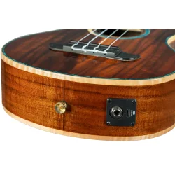 Ortega RUHZ30TH-BW Tenor Ukulele m/mikrofon 30th Anniversary Blue Whale