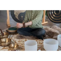 Meinl Sonic Energy SPB Lydeffekt Pala Fr Nddeskaller Armbnd/Ankel Shaker 