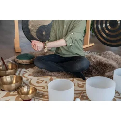 Meinl Sonic Energy SKB Lydeffekt Kenari Fr� N�ddeskaller Armb�nd/Ankel Shaker 