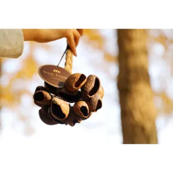 Meinl Sonic Energy SPGRS Lydeffekt Lille Strrelse Pangi Fr Nddeskaller Shaker