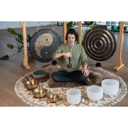 Meinl Sonic Energy SPH Lydeffekt Pala Fr Nddeskaller Rod Shaker