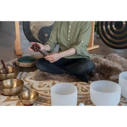 Meinl Sonic Energy SPH Lydeffekt Pala Fr Nddeskaller Rod Shaker