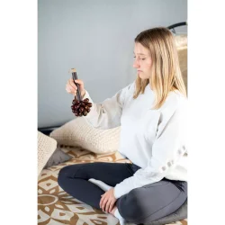 Meinl Sonic Energy SPH Lydeffekt Pala Fr Nddeskaller Rod Shaker