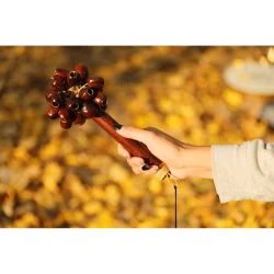 Meinl Sonic Energy SPH Lydeffekt Pala Fr Nddeskaller Rod Shaker