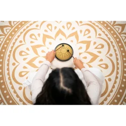 Meinl Sonic Energy SSTD3G 7" Lille Steel Tongue Drum C Minor, 8 Toner