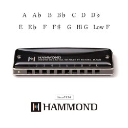 Suzuki HA-20 Hammond Mundharmonika Tone C 10 Huls Diatonisk Mundharp inkl. opbevarings�ske