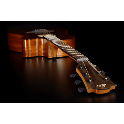 L�G T98ACE Western Guitar med pickup