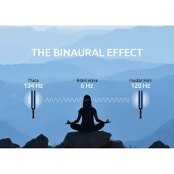 Meinl Sonic Energy TTF-THETA Binaural Terapeutisk Stemmegaffel (Theta 134 Hz)