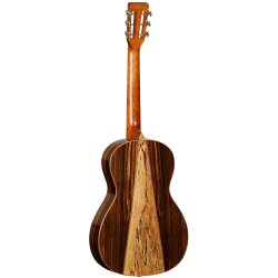Tanglewood TWJPE Parlour Western Guitar
