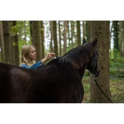 Meinl Sonic Energy VF-RL Stor, Rund, Slv Stemmegaffels Vibrations Fod - 98 gram