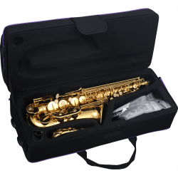 sml Paris A420-II Eb begynder Alt-sexofon inkl. bl�d kuffert 