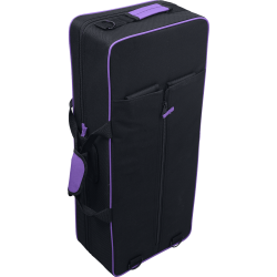 sml Paris A420-II Eb begynder Alt-sexofon inkl. bl�d kuffert 