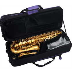 sml Paris A620-II Eb begynder Alt-saxofon inkl. bl�d kuffert 