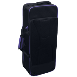 sml Paris A620-II Eb begynder Alt-saxofon inkl. bl�d kuffert 