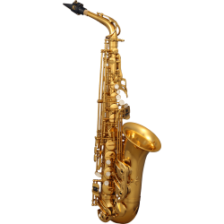 sml Paris A620-II Eb begynder Alt-saxofon inkl. bl�d kuffert 