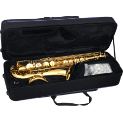 sml Paris T420-II Bb begynder Tenor Saxofon inkl. bl�d kuffert 