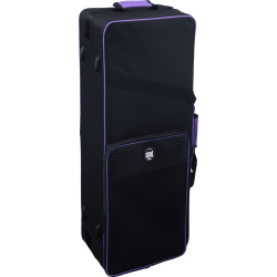 sml Paris T420-II Bb begynder Tenor Saxofon inkl. bl�d kuffert 