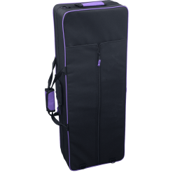 sml Paris T420-II Bb begynder Tenor Saxofon inkl. bl�d kuffert 