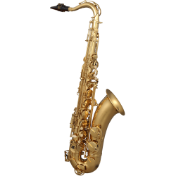 sml Paris T420-II Bb begynder Tenor Saxofon inkl. bl�d kuffert 