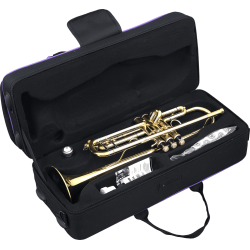 sml Paris TP500 Bb Trompet inkl. bl�d kuffert 
