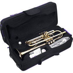 sml Paris TP600 Bb Trompet inkl. bl�d kufffert 