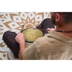 Meinl Sonic Energy CSTD3G 10" Kompakt Steel Tongue Drum (D-Moll, 8 Toner, 432 Hz, Guld) 