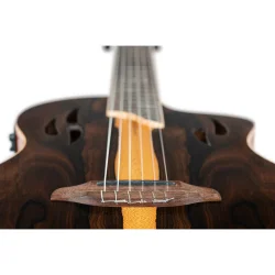 Ortega RTP-LTD TourPlayer Serien Nylonstrenget Guitar m/mikrofon, thin body &amp; slim neck inkl. taske (Ziricote Gloss)
