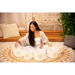 Meinl Sonic Energy SOLCSBSET Hvidfrostede Krystal Syngesk�l 6-delt Solfeggio S�t (Ut, Re, Mi, Fa, Sol, La) inkl. silikoneringe &amp; k�ller