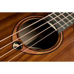 L�G SAUVAGE-BCE Sauvage Jumbo Bas Cutaway Elektro/Akustisk Guitar m/pickup inkl. taske 