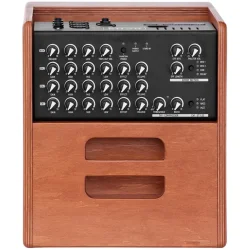 Acus One For Strings 5 Ferdi Wood Akustisk Guitar Forstrker (70 Watt)  inkl. bluetooth-modtager