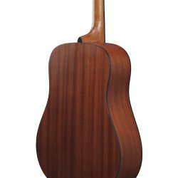 Ibanez AAD50-LG Western Guitar