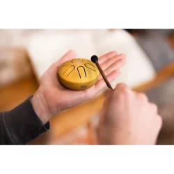 Meinl Sonic Energy PSTD3GOM 3" Pocket Steel Tongue Drum (A-dur, OM, guld) inkl. k�lle