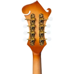Beaton Icon F8 NA F-style Mandolin (nature)