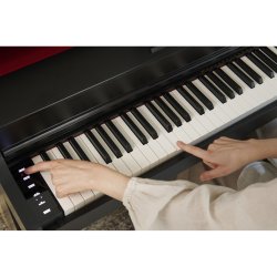 Casio AP-300BK Celviano Digital Piano Elektronisk Klaver (88 Smart Scal Hammer Action Tangenter)