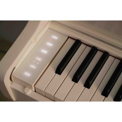 Casio AP-550 WH Smart Hybrid Celviano Digital Klaver 