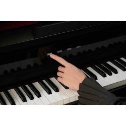 Casio AP-750 BK Smart Hybrid Celviano Digital Klaver 