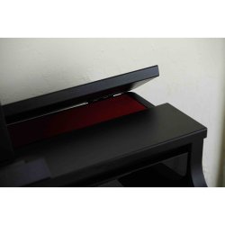 Casio AP-750 BK Smart Hybrid Celviano Digital Klaver 